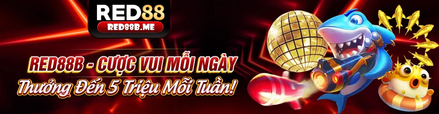 Hình ảnh giới thiệu về td88 app, đội ngũ chuyên nghiệp và tầm nhìn phát triển